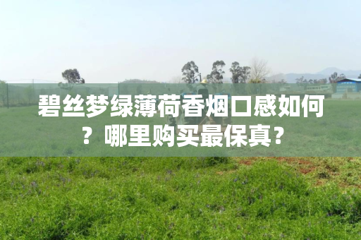 碧丝梦绿薄荷香烟口感如何？哪里购买最保真？